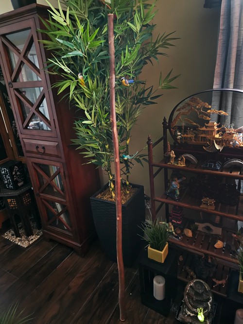 David West's Kung Fu Staff